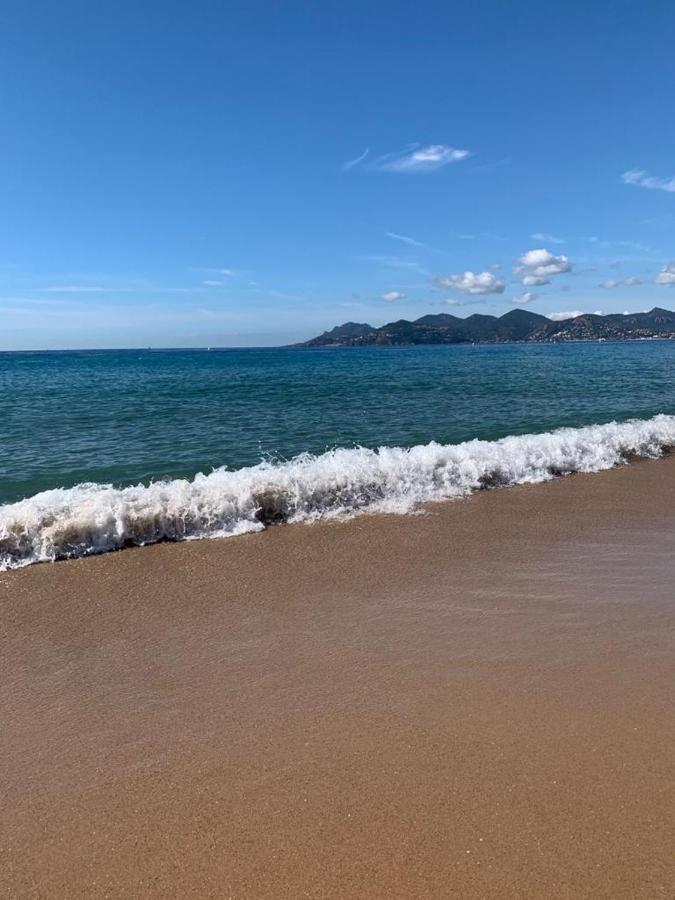 Cannes Vieux Port , true seafront& view, 5G Fibre&BBC Extérieur photo