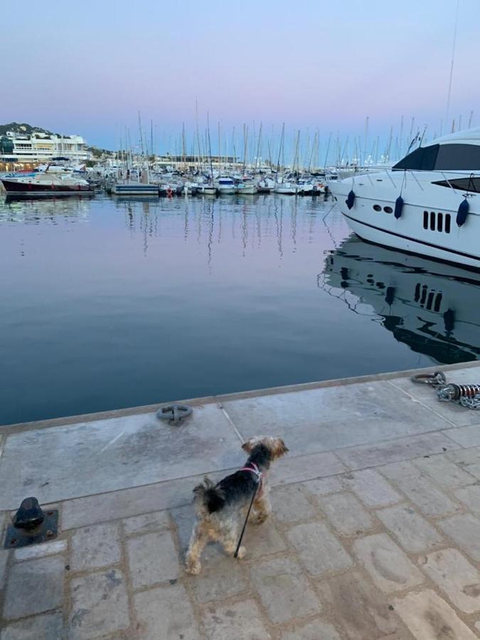 Cannes Vieux Port , true seafront& view, 5G Fibre&BBC Extérieur photo